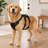 No Pull Reflective Large Dog Harness