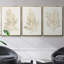 Ensemble de 3 algues dorées encadrées sur toile-97792593-97792598