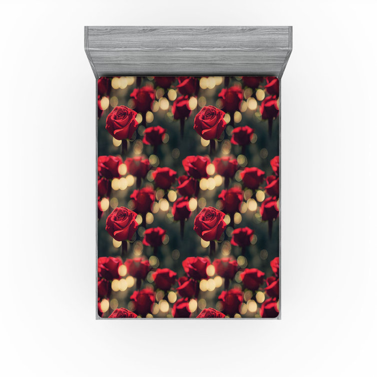 Drap-housse Ambesonne