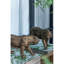 Décoration statue de tigre 11,5 x 3,5 x 5,5 po, finition cuivrée brillante