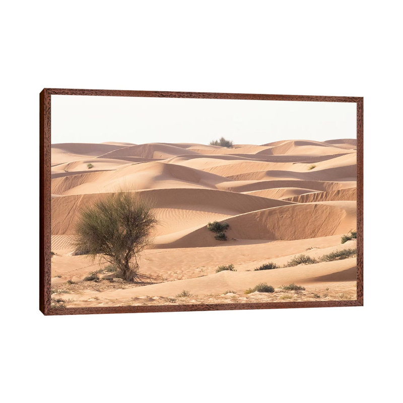 Desert With Sand. Abu Dhabi, United Arab Emirates. by Tom Norring - Gallery-Wrapped Canvas Giclée on Canvas