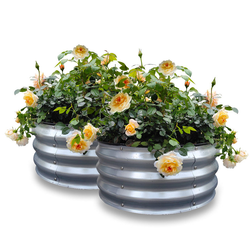  Ensemble de 2 lit de jardin surélevé rond galvanisé 2 x 2 x 1 pi, boîtes à fleurs en métal pour l'extérieur avec assemblage facile, grand lit de jardin pour légumes, fruits, fleurs et herbes argent