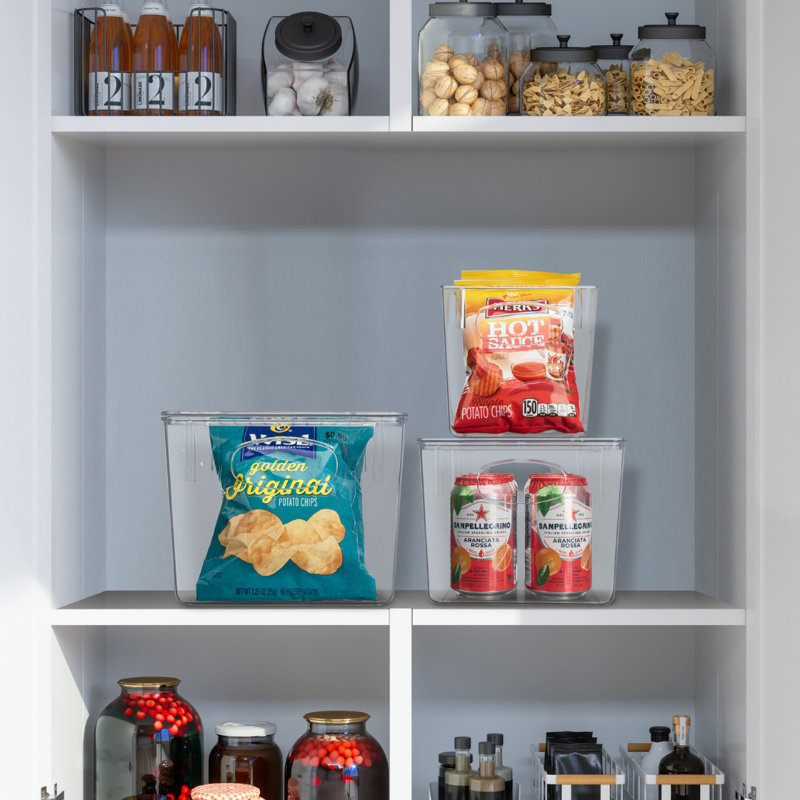 Bacs de rangement en plastique transparents avec couvercle Sorbus