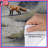 Three Foxes In Forest Duvet Covers-126400372