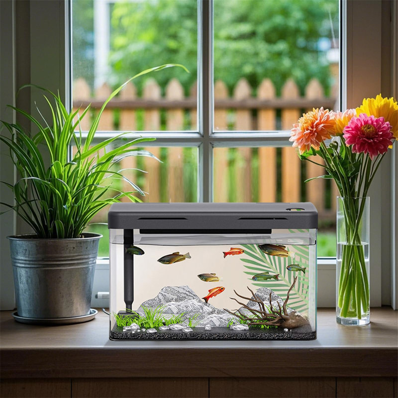 12L Fish Tank With Filter And Light, Rectangular Aquarium With Filter And Oxygen Supply, LED Light, Mini Fish Tank Tabletop Decoration For Home Office Living Room