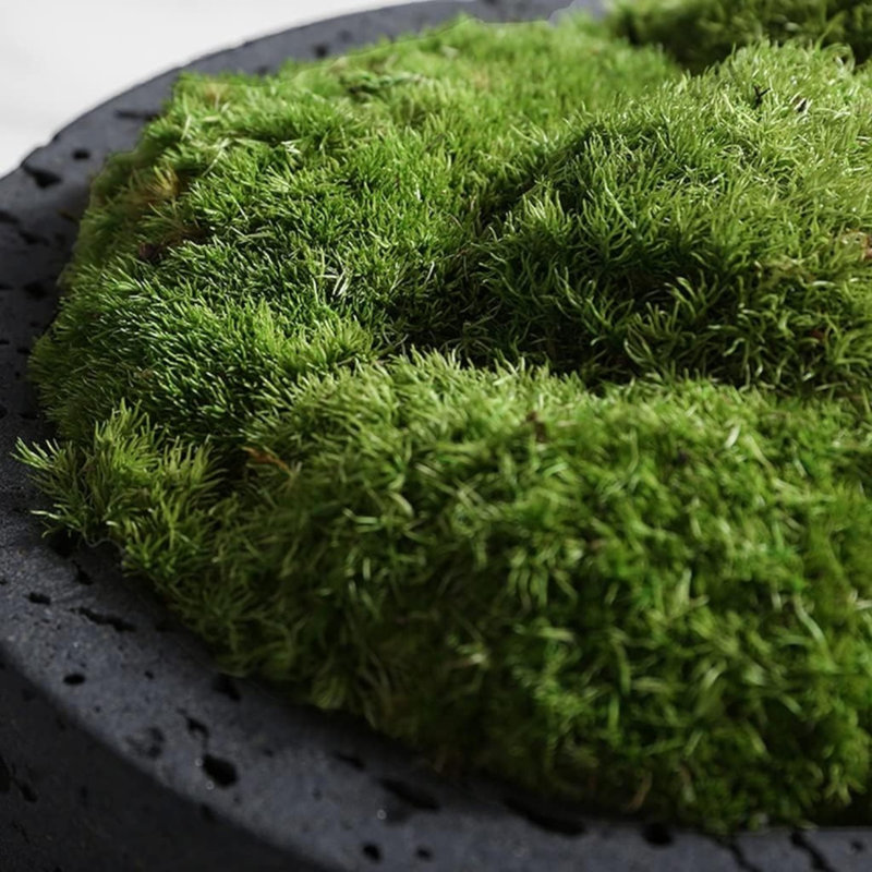 Bol de jardin en mousse de travertin moderne et luxueux, Black