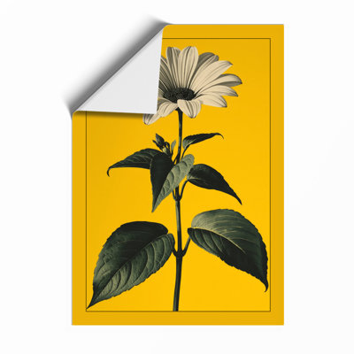 Golden Daisy Botanical - Framed Print