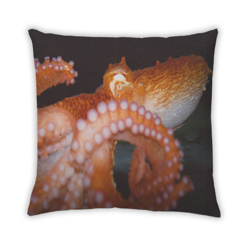 Throw Pillow, Synthetic