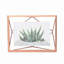 Umbra Prisma Picture Frame-107486607-25778943