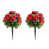 2 Red Flowers is unavailable