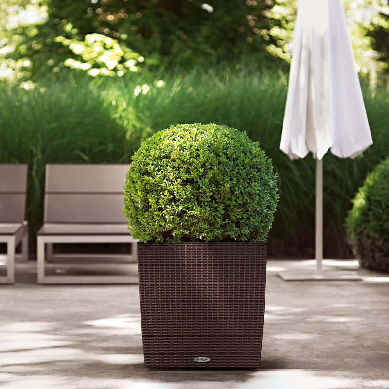 Moneak Planter Box, Mocha, 50cm H x 50cm W x 50cm D