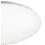 Connors Acrylic Flush Mount