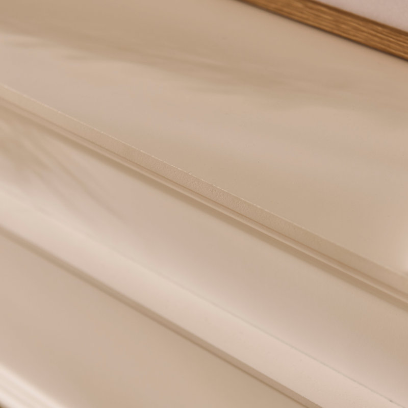 Fireplace Door