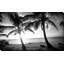 BW Bimini Sunset par Susan Bryant - photographie-64741931-64741932