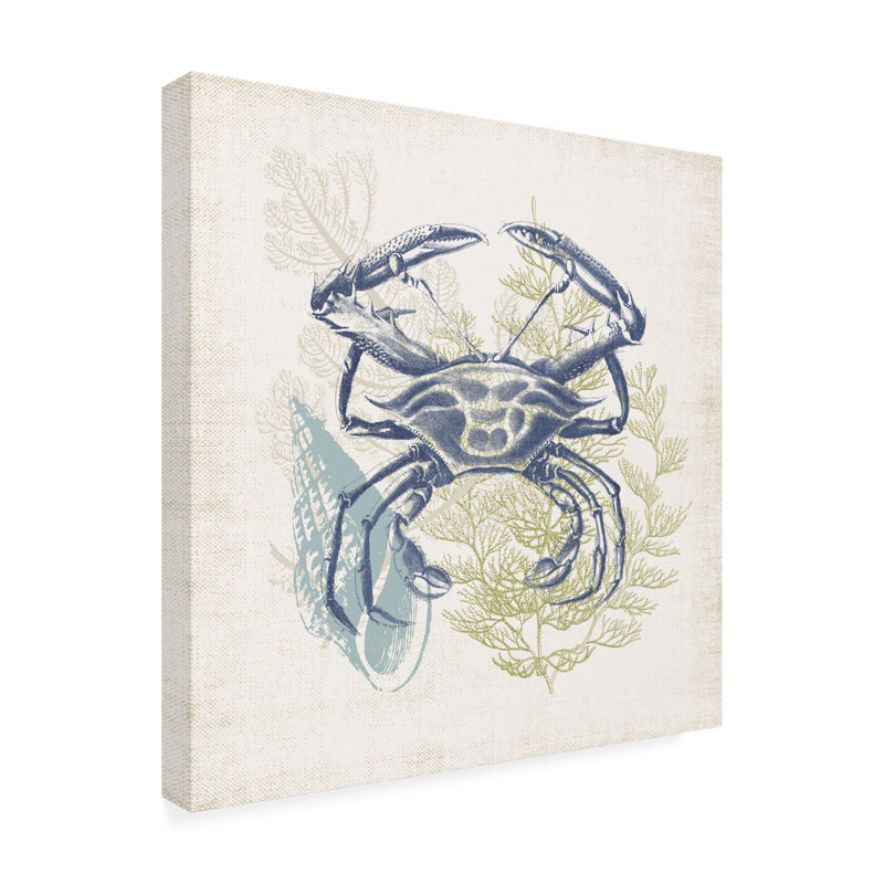 Art sur toile Victoria Barnes «Antique Coastal Ephemera VI», H 35 po x l 35 po x P 2 po
