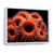White Floater Framed