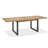 Phillippi Extendable Dining Table-1520786360