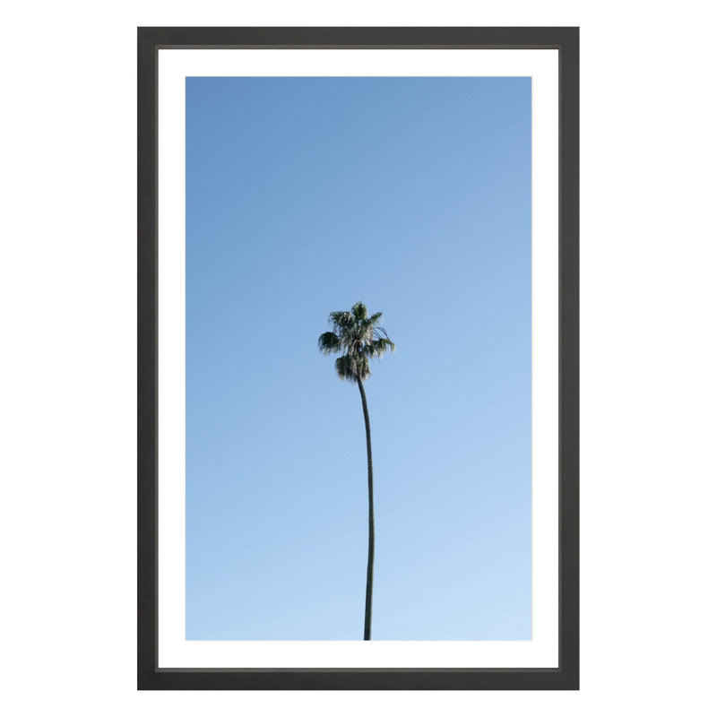 Solo Palm by Amanda Anderson, Black, 36" H x 24" W x 1.88" D