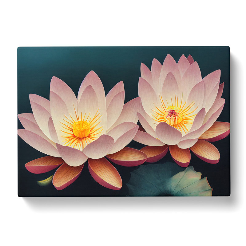 Endearing Lotus Flowers - Wrapped Canvas, 35cm H x 50cm W x 3cm D