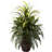 Mixed Greens and Cattails with Planter