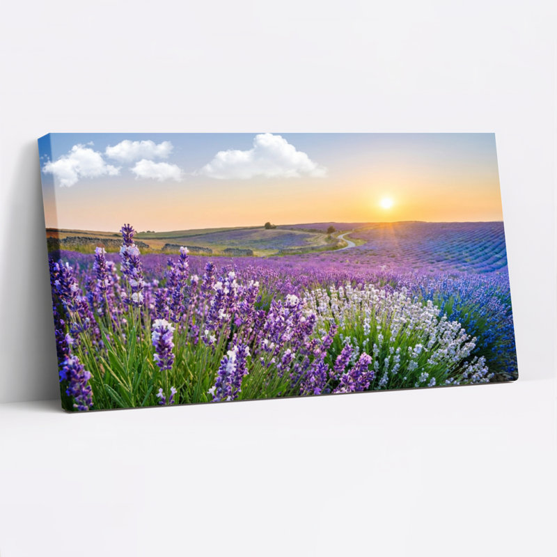 Ensemble d'une toile tendue représentant un paysage de coucher de soleil dans un champ de lavande, H 20 po x l 40 po