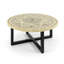 Montpellier Garden Stone Mosaic Coffee Table