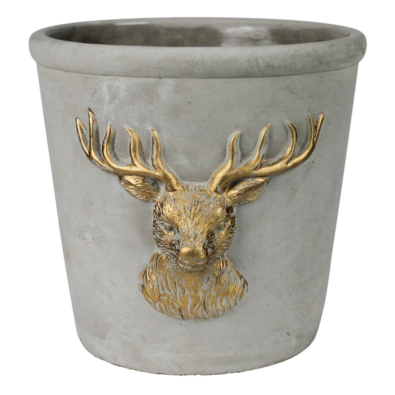 Cache-cerf, ciment