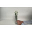 Vases à fleurs Lavoisier-1658331797-1658331796-1658331804