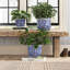 Blue Garden and Florentine Garden Planter Set