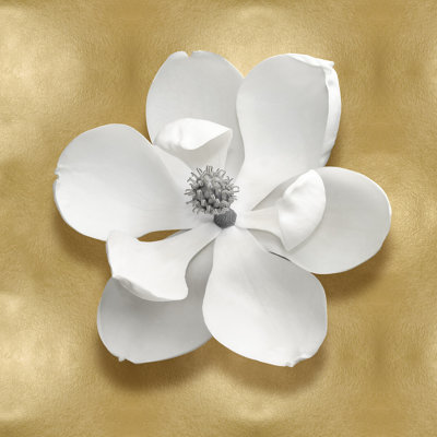 Pure I - Wrapped Canvas Print