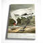 « whooping grues », reproduction d’impression sur toile tendue-22188435
