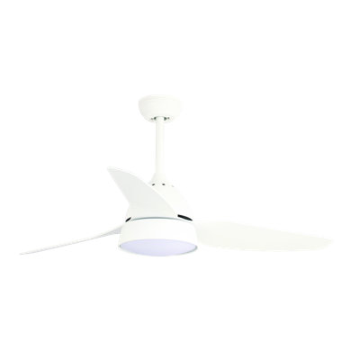 Doretha Ceiling Fan with LED Lights