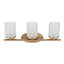 3-E26 Luminaire de meuble-lavabo contemporain à abat-jour en verre 19,09 pouces-683491437