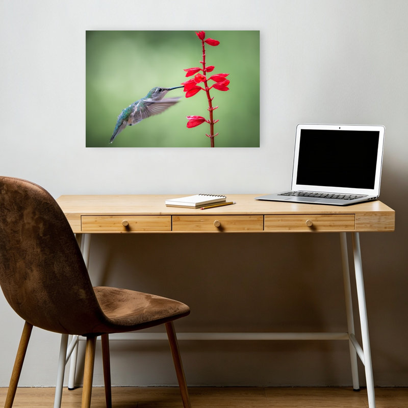 Hummingbird Feeds Red Flower Colorful Delicate Vibrant Hummingbird Bird Flower Nature Wall Art Print by Atul Saluja - Print