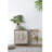 31.5'' Faux Fern Tree in Cement Pot