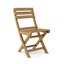 Alabama Folding Beach Chair