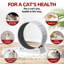 Tapis roulant pour chat, roue d'exercice verrouillable, jouet-579386823