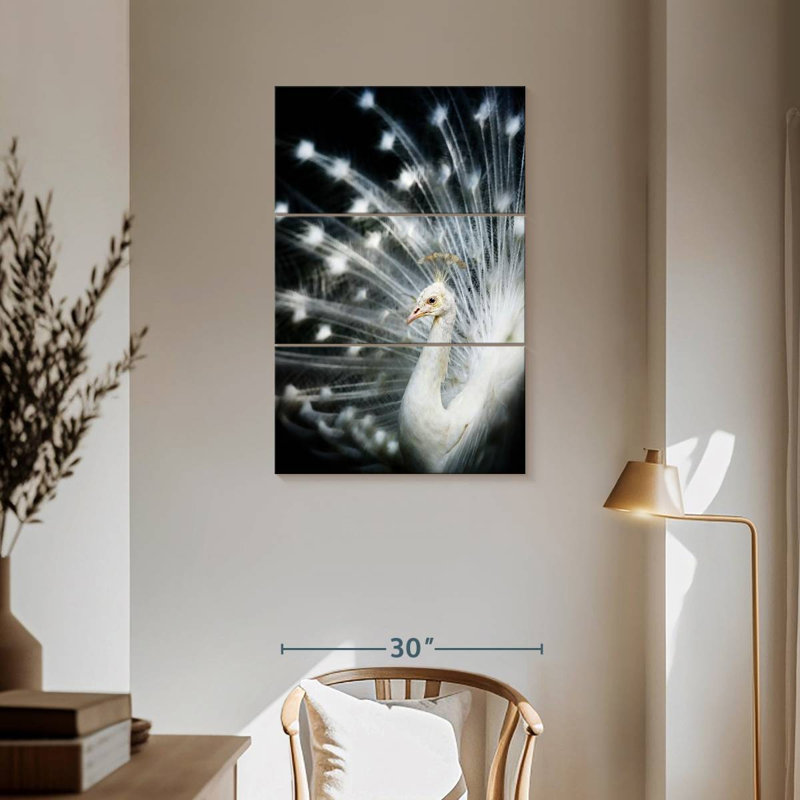 Brampt Rare White Peacock, 57" H x 36" W