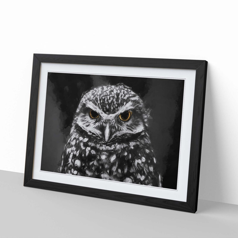 Little Owl in Abstract - Picture Frame Art Print, 40cm H x 60cm W x 2cm D, Black