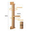 Pevensie Scratching Post