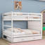Lit superposé en bois avec escalier de rangement multifonctionnel et lit gigogne simple-83909290-83909291