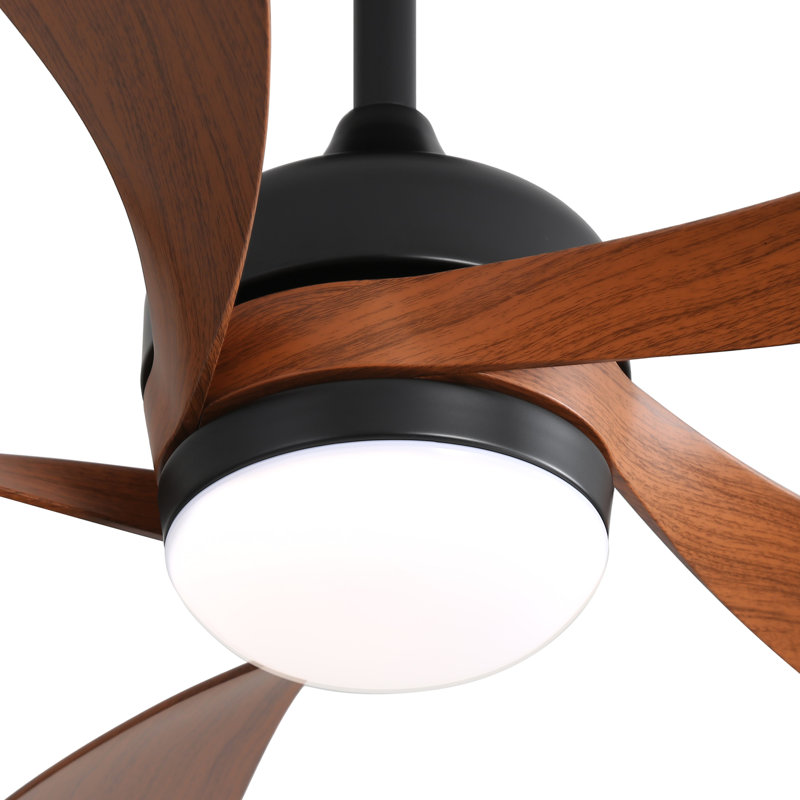 Damecia 5 - Blade Smart Standard Ceiling Fan with Remote Control and LED Light, Brown/Black, 45"