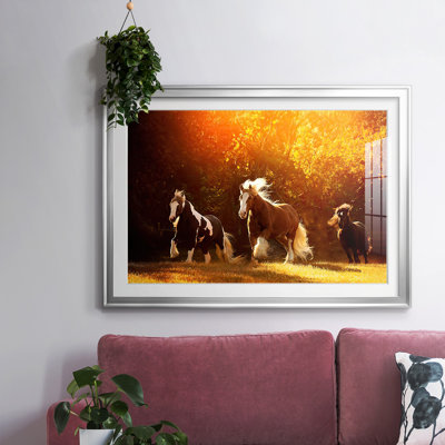 " Horse Motion V "