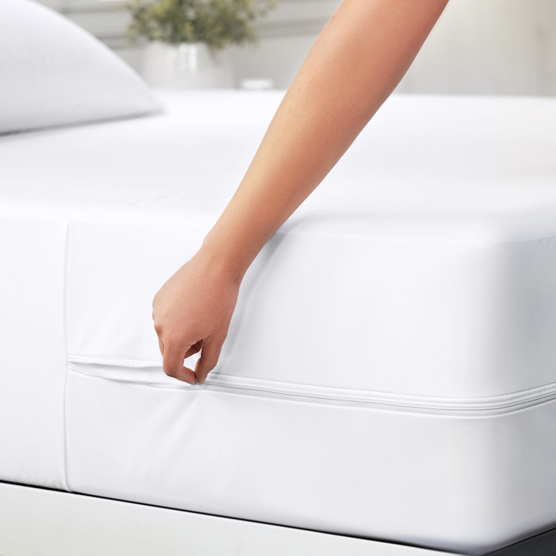 Hypoallergenic Spill Proof Zippered Bed Bug Mattress Protector, Queen