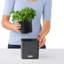 Planter Box-26992046-26992042