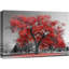 Arbre rouge sur fond de parc noir et blanc-96384567-96384568