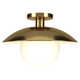 Robin Single Light Glass Semi Flush Mount
