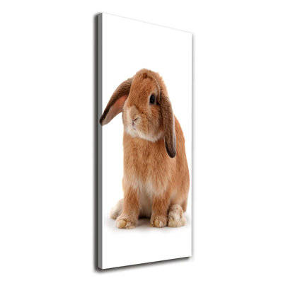 Rabbit - Wrapped Canvas Print