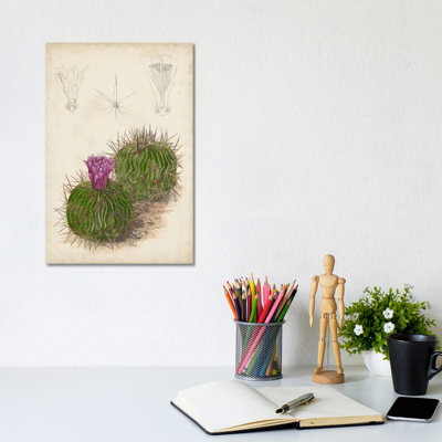 Antique Cactus II by Curtis - Wrapped Canvas Painting