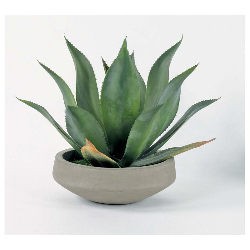 Faux agave dans un bol en béton